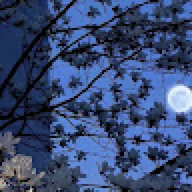 kenzies
